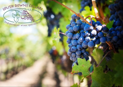  Voucher Image Vineyard